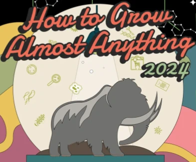 2024